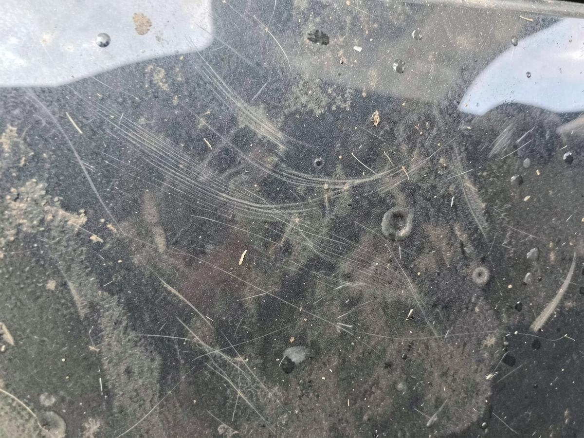 Dark car paint with heavy swirl marks and water spots before paint correction